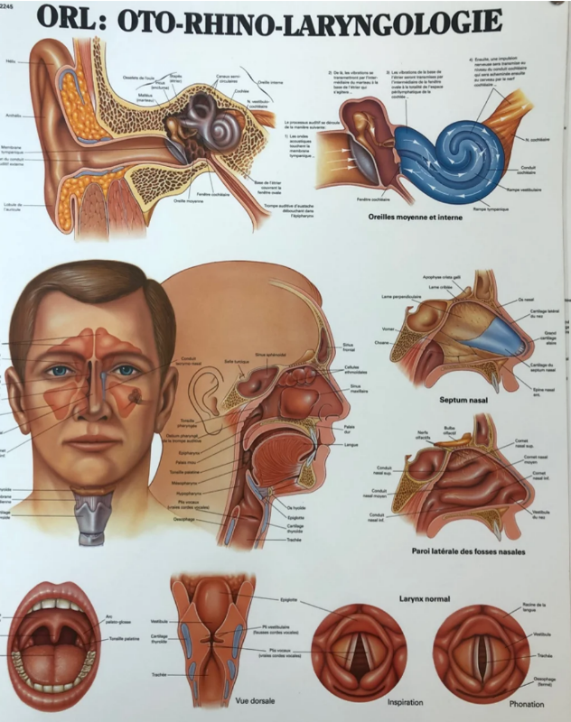 Captura de tela 2025-12-16 190026.png